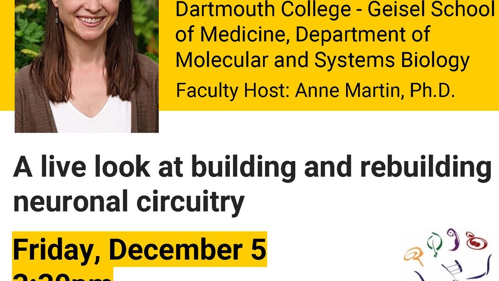 Biology Seminar: "A live look at building and rebuilding neuronal circuitry" promotional image